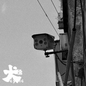 青娱乐极品在线
